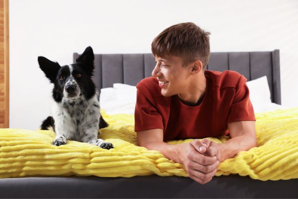 pet-friendly home design tips