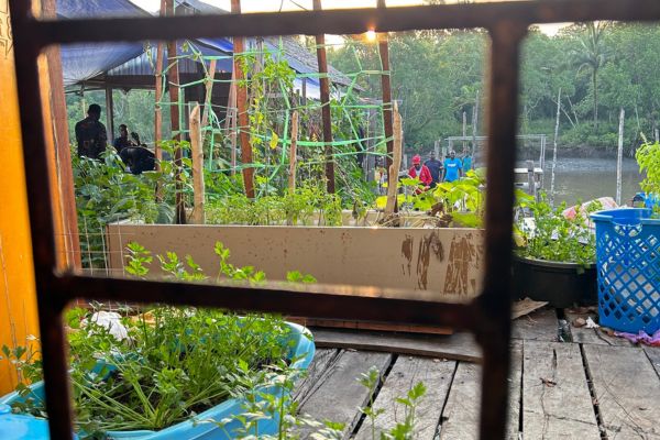 container gardening ideas